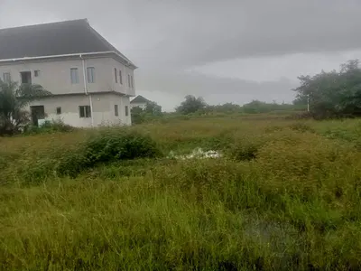 Half Plot of Land