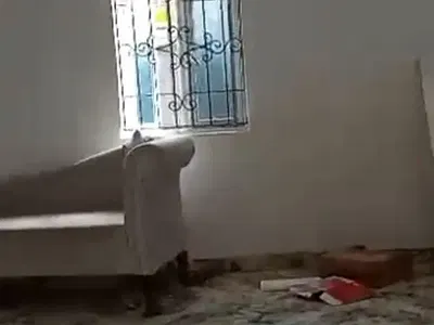 Lovely 2 Bedroom Flat