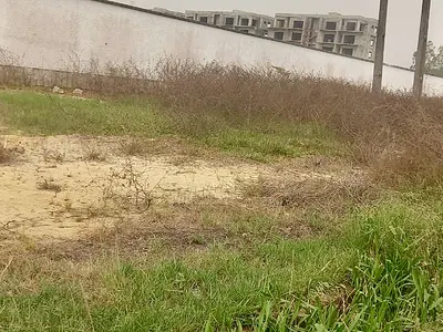 Samrt Location for Smart Investors: 1 Hectare of Land