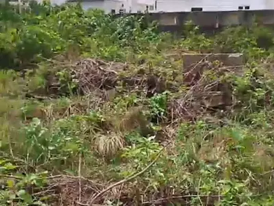 Buy and Build Land