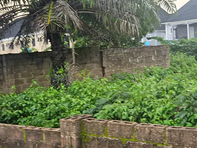 3 Plots of Land