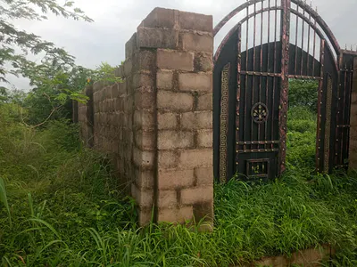 Land