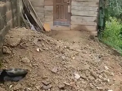 Dry Land on Half Plot of Land