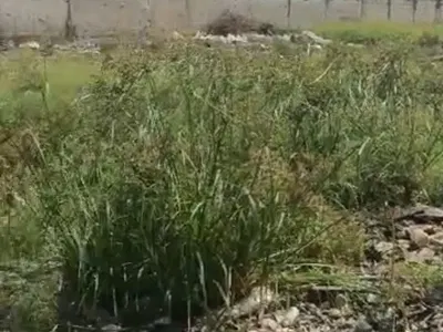 4200SQM Commercial Land