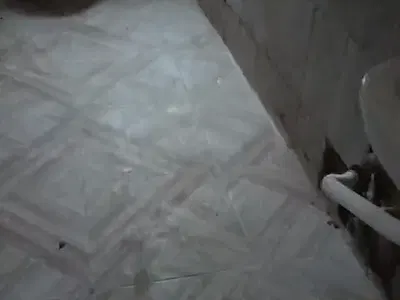 Newly Renovated 2 Bedroom