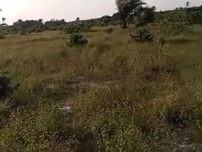 8 Plots of Land