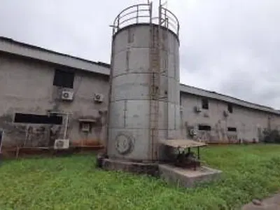 Instant Noodles Factory Plant