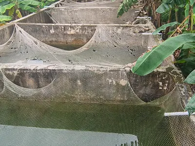Land with Fish Farm Structure on It