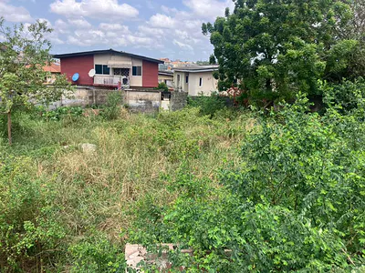 Prime Fenced Land