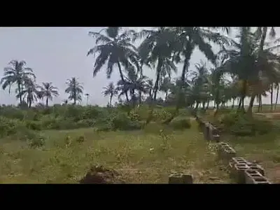 25 Acres of Dry Land