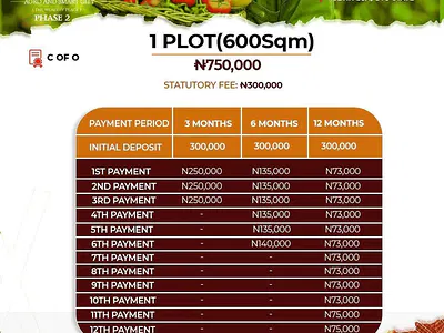 Flexible Payment Plans, Secure Documentation, Total Peace of Mind!