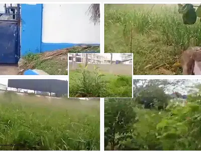 Commercial Parcel of Land