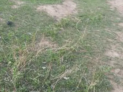 An 100 Hectares of Land — Guzape District, Abuja