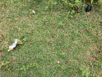 Estate Plot for Duplex
