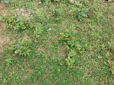Estate Plot for Duplex