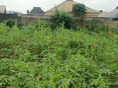 Half Plot of Land (with Cofo)