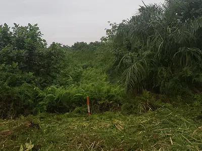 Gazette Land with Survey and Deed of Assignment