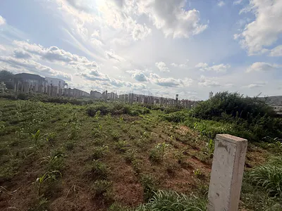 Land