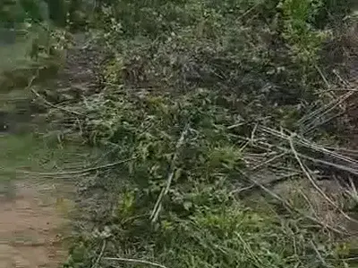 Acre of Land