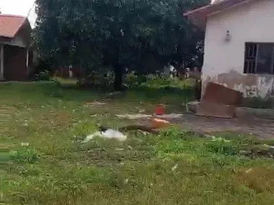 A Bareland in a Well Serene Area