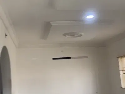 Luxurious Mini Flat