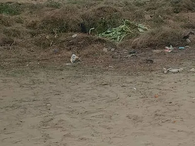 Land Measuring 1000SQM Just 5 Minutes to Express Way