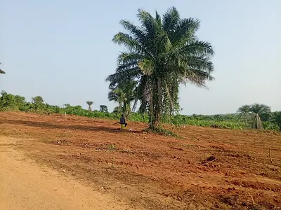 Mixed Use Land