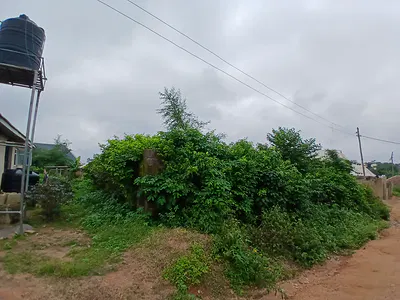 A Full Plot of Land with a Foundation