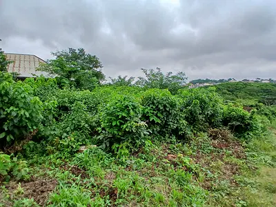 A Full Plot of Land