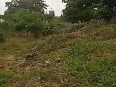 1.7 Hectares of Commercial Land