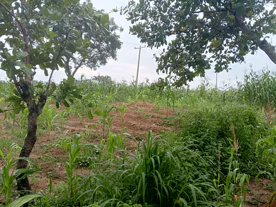 Commercial Land in Good Location, F02 Bwari, Bwari, Abuja, Commercial Land for Sale