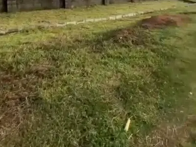 2 Hectares of Land