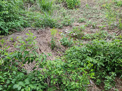 7 Plots of Land