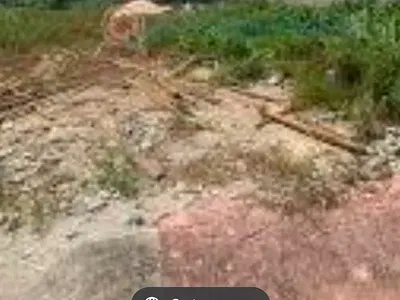 6, 500.849SQM Land Available for Sale. Can Be Sold as a Whole or Subdiv