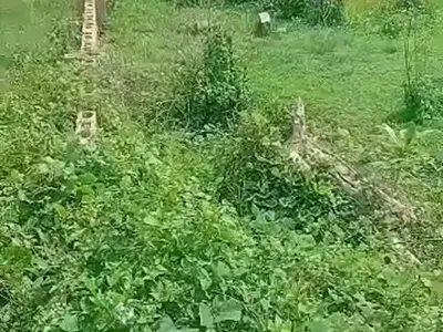 3 and Half Plot of Land
