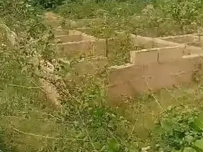 3 and Half Plot of Land