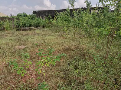 Residential Plot of Land