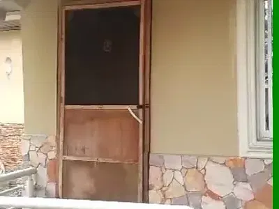 Massive Studio Flat