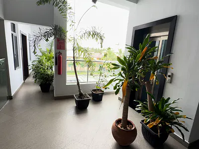 3 Bedroom Apartment with BQ