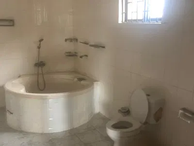 Luxurious Spacious Mini Flat in Lekki 1