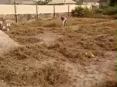 Fully Fenced, Gated & Serviced Commercial Land