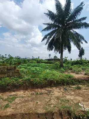 Strategically Located Plot of Dry Land