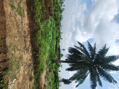 Strategically Located Plot of Dry Land