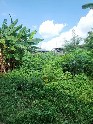 Strategically Located Plot of Land in the Heart of Town