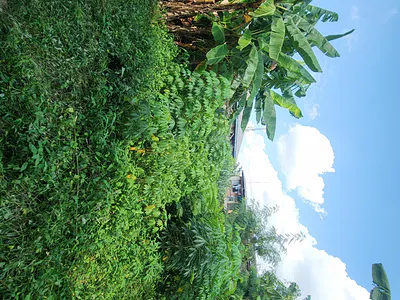 Strategically Located Plot of Land in the Heart of Town