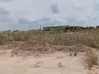 5.9 Hectares of Land