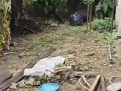 2 Plot of Land