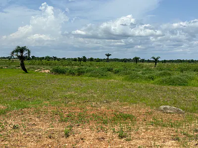 464SQM Residential Plot