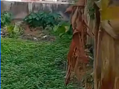 Full Plot of Land, Fenced and Gated, Located in a Serene Environment