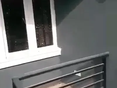 Lovely Sweet Mini Flat